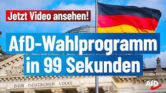Das AfD-Programm zur Bundestagswahl 2021!